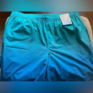 Chubbies The Good Boys 7” large Athlounger Chubbies shorts